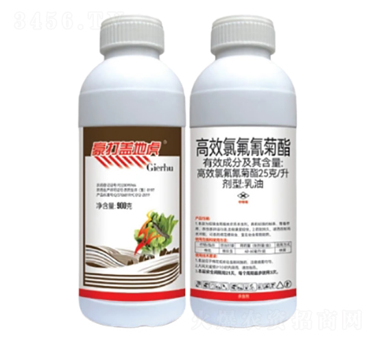 25/ЧȷͣEC-wػ-лƌW