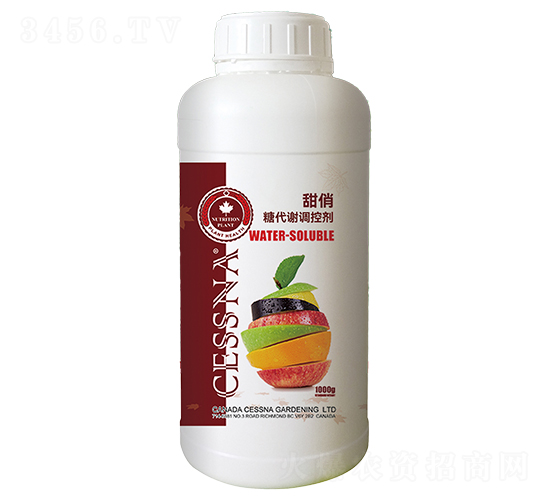 Ǵx{(dio)؄--ЅRr(nng)I(y)