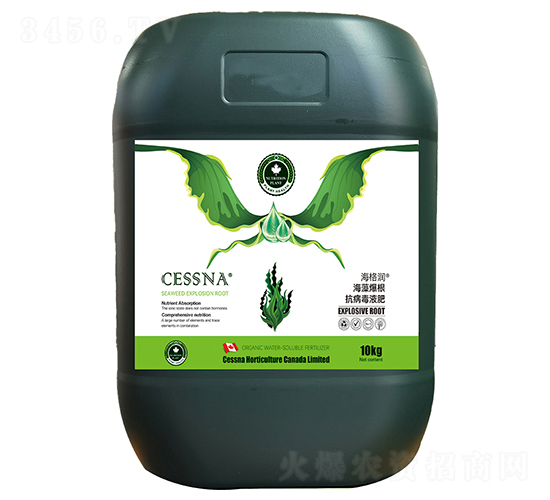 屬Һ-(rn)-ЅRr(nng)I(y)