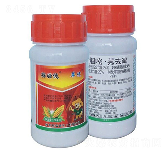 24%סݬȥɷɢ͑Ҹ-w-ِ