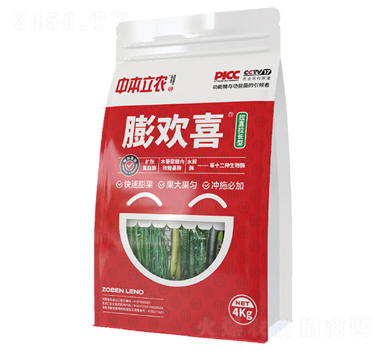 gϲֱL(zhng)ͣ-бr(nng)