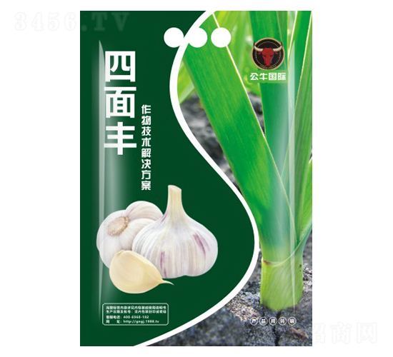 a(chn)g(sh)-S-ţ(gu)H