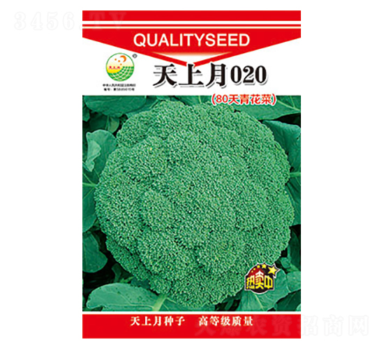 mN-020-̫(l)NI(y)
