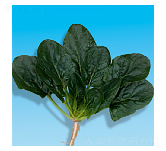 ˷N-孲5̖-A孷NI(y)