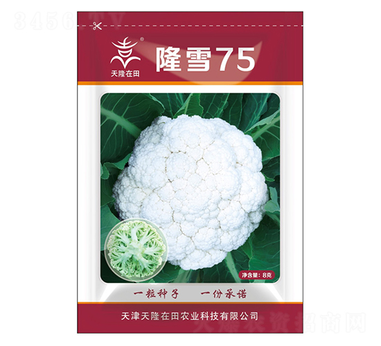 ¡ѩ75-¡-¡r(nng)I(y)