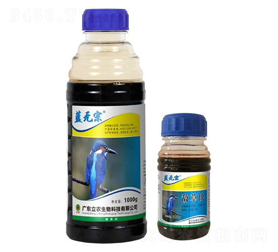 20%ݿ-{(ln)o(w)-V|r(nng)