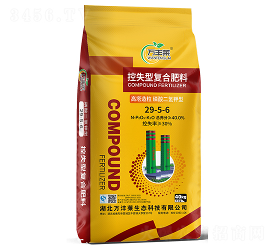 Ϳʧ͏(f)Ϸ29-5-6-fSR-Dؐ