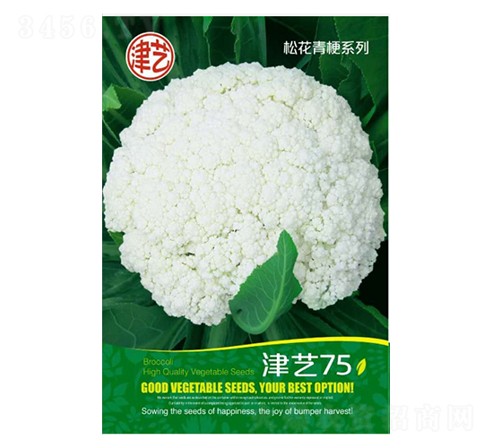 ˷N-ˇ75-Sr(nng)I(y)