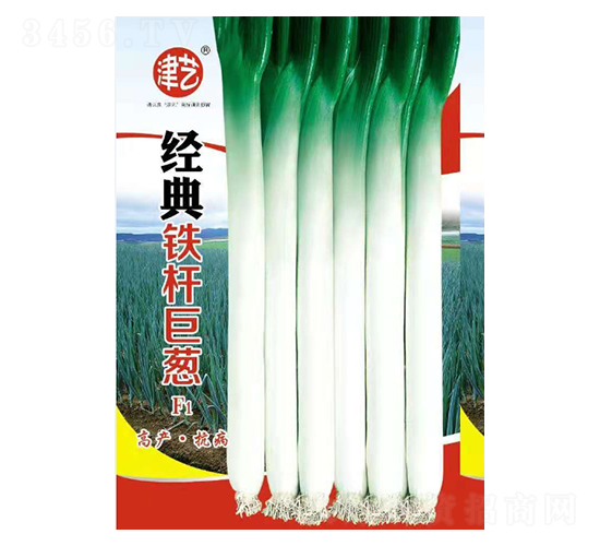 [N-(jng)FU[-Sr(nng)I(y)