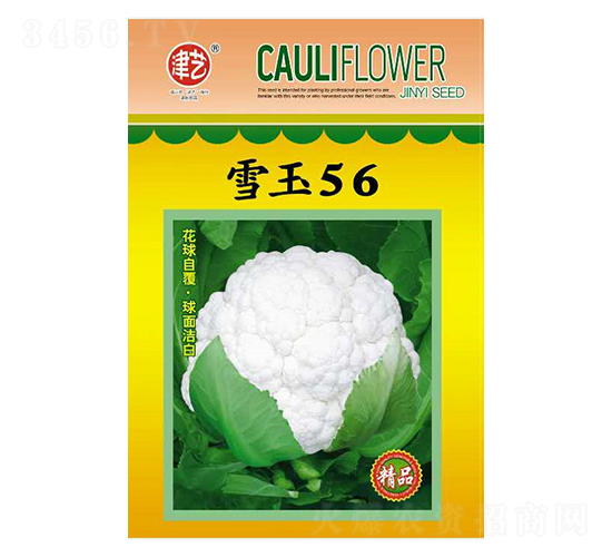 ˷N-ѩ56-Sr(nng)I(y)