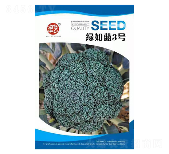 mN-G{3̖-Sr(nng)I(y)