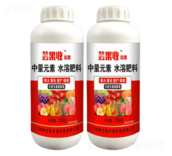 (sh)-|-r(nng)r(nng)I(y)