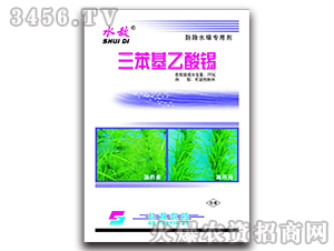 a-ˮ?dng)?L(zhng)p