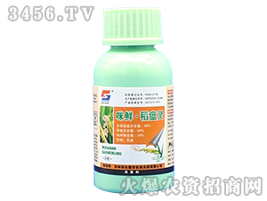 40%r`--L(zhng)pr(nng)ˎ