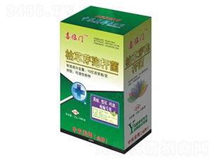 ݲѿߗU̿~ߣ-ϲRT-r(nng)