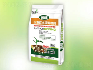 ز{(dio)턩-䠖-|(rn)