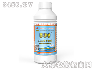 1000g}A{턩-ʩؼ-AB(ti)