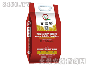 Ԫˮܷ20-20-20+TE-Rԣ-