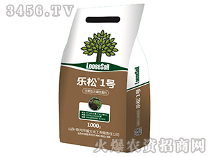 ޏ̈́-1̖-(chung)rI(y)