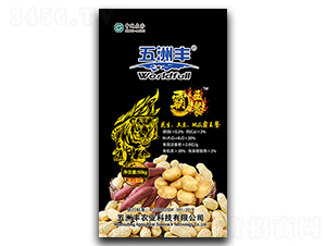 ԪI(yng)B(yng)-عϰ-S