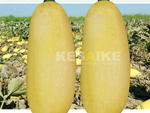 r(nng)l(f)̖(ho)-JN-wِw