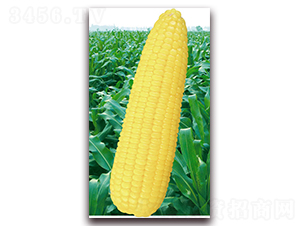 fŴ̖(ho)-Ŵ׷N-ANI(y)