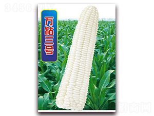 fճ̖(ho)-Ŵ׷N-ANI(y)