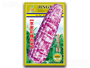 ܲŴ̖-Ŵ׷N-ܷNI(y)