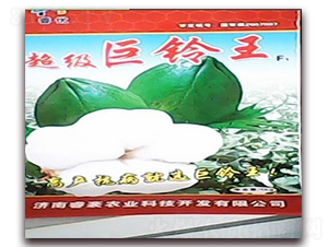 -޻N-(yu)r(nng)I(y)