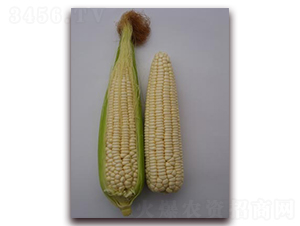 KŴ102-Ŵ׷N-L(zhng)N