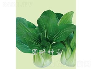 ๣-Ͳ˷N-(gu)зNI(y)