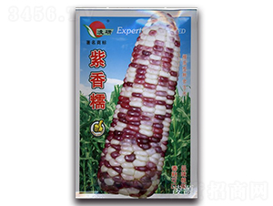 Ŵ-Ŵ׷N-ʴr(nng)I(y)