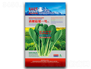 ๣ݿһ̖-๣ݿ˷N-_(d)