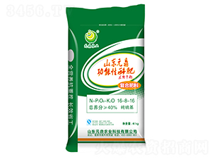 ߌÏͺϷ16-8-16-Ԫr(nng)I(y)