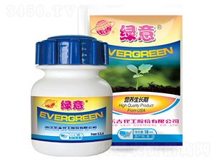 I(yng)B(yng)L(zhng)ڌ(zhun)~-G-