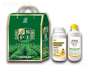 a(chn)Mײ-oʿ-r(nng)