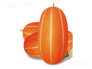 tһ̖(ho)-ϷN-߶˷NI(y)