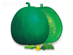 G6̖(ho)-ϷN-߶˷NI(y)