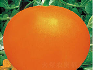 Ѫtһ̖-ϷN-߶˷NI(y)