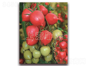 һ̖(ho)-ɫѷN-ƈDNI(y)