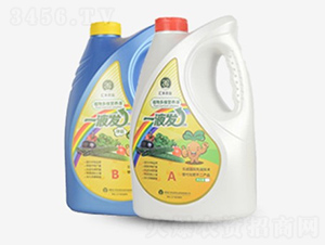 VVˮܷ-һҺl(f)-RSrI(y)