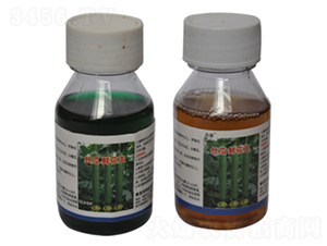 絲瓜鮮花王組合-農伯樂