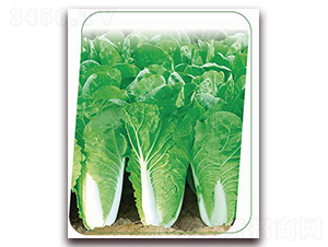 v6̖(ho)-~˷N-(yu)r(nng)I(y)