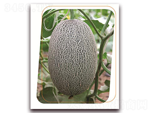 K_-ϷN-(yu)r(nng)I(y)