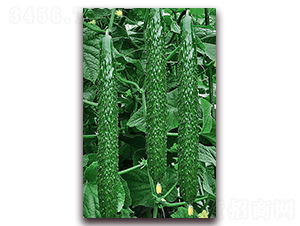 _(d)1̖(ho)-SϷN-_(d)