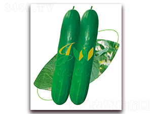 S6̖(ho)-SϷN-I(yng)ھ