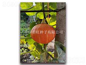 ̫(yng)2̖(ho)-ϹϷN-I(yng)ھ