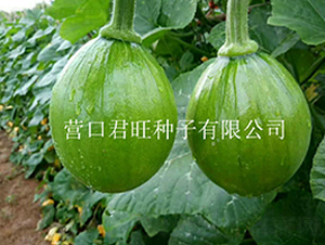 n(gu)-ϹϷN-I(yng)ھ