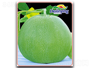 Gʯ-ϷN-ӯr(nng)I(y)