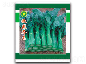 ʢ{(ln)-{(ln)N-r(nng)